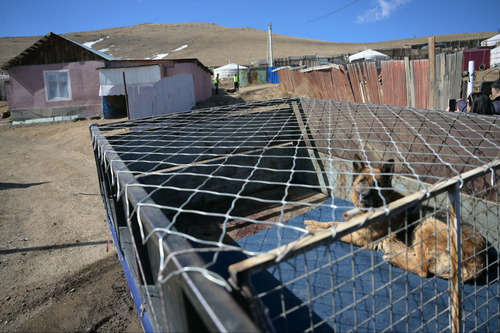 АМЬТДЫГ ТҮР АСРАХ БАЙРАНД ШИЛЖҮҮЛЭХИЙГ УРИАЛАВ